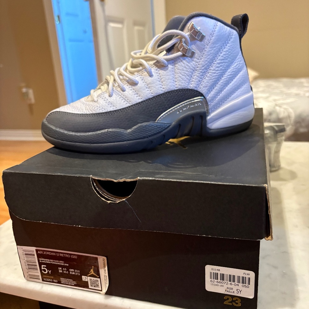 Air Jordan 12
